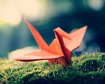 千纸鹤的图片素材，千只纸鹤的爱情