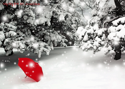 超漂亮冬天下雪的美景图片