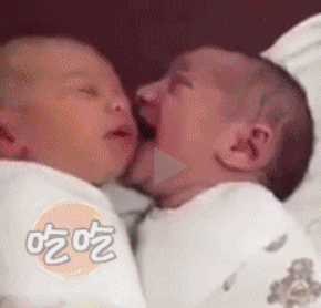 婴儿闭着眼睛吃奶奶，完全凭感觉乱吸一通